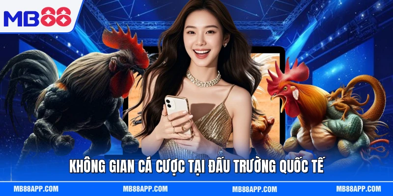 Không gian cá cược tại đấu trường quốc tế